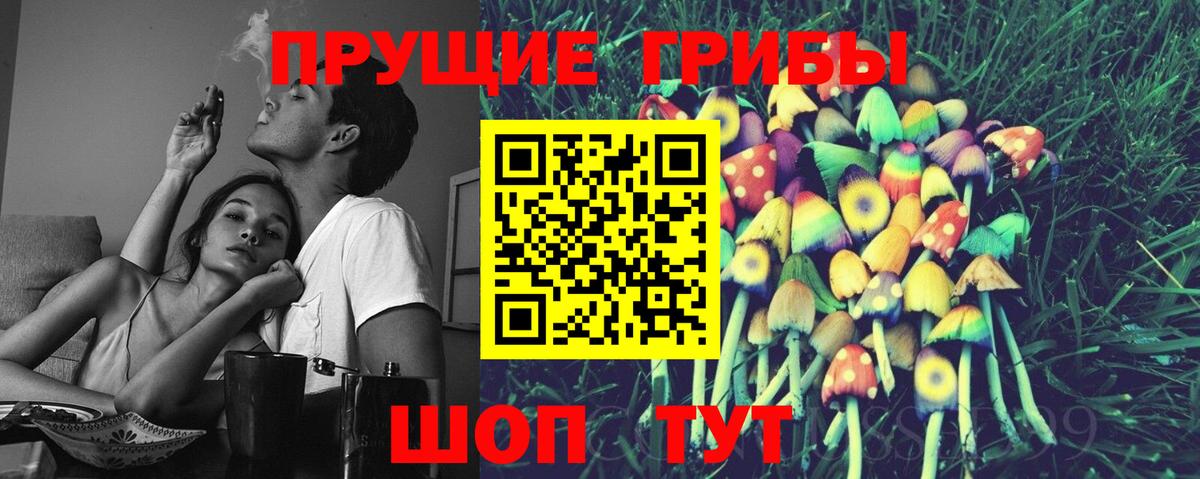 Чистополь  Псилоцибиновые грибы Cubensis  Вход с VPN 